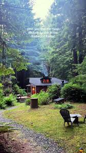 Redwood Forest Cabins | TikTok