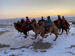 Meanings of i would walk a mile. Warwick Schiller S Performance Horsemanship Mongolia Cold Camel Expedition 2020 Part 1 Facebook