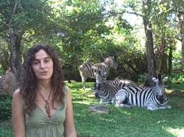 A Welcome And Introduction To The Www Animalspirit Org Website Virtual Home Of Animal Communicator Anna Breytenbach Animals Spirit Animal Pet Birds