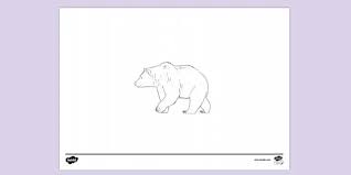 Coloring pages brown bear brown bear printable book pdf. Free Brown Bear Brown Bear Colouring Pdf Colouring Pages