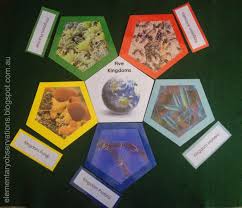 Elementary Observations Free Five Kingdoms Printables Montessori Elementary Montessori Elementary Activities Montessori Materials