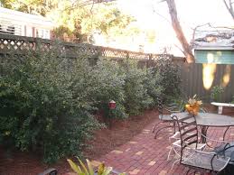 Check spelling or type a new query. Florida Native Garden How To Reduce Water Use Wilcox Nursery Landscape