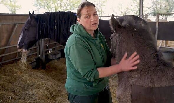 Cannon Hall Farm shares tragic cancer news | Celebrity News | Showbiz & TV | Express.co.uk