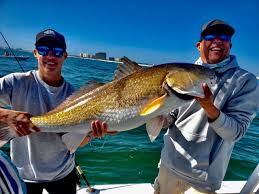 Get the most popular abbreviation for big game fishing journal updated in 2021. Volusia Flagler Fishing Report Tarpon Snapper And A Good Snook Bite
