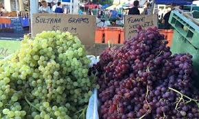 Cepa criada pelo instituto de viticultura de chisinau na moldávia, cruzando pbeda com kishmish. Fresh At The Markets Table Grapes Indaily