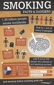 Pin On Infographic