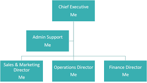 Why Every Solopreneur Needs An Organisation Chart Success