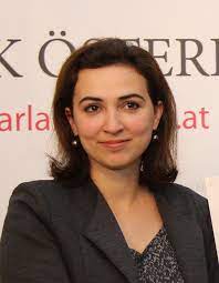 Alma zadic arrived in vienna from bosnia when she was 10. Alma Zadic Wikipedia