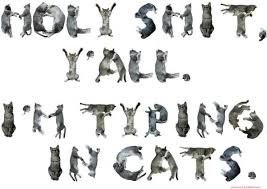 Someone Stop Me The Bloggess Crazy Cats Cats I Love Cats