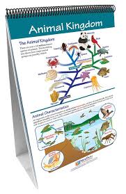 Types of animal kingdom classification: The Six Kingdoms Newpath Science Flip Chart Set Flinn Scientific