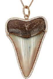 Anita Ko 18 Karat Rose Gold Diamond And Fossilized Shark Tooth Necklace Delicately Crafted F Shark Tooth Necklace Shark Teeth Jewelry Fossilized Shark Teeth