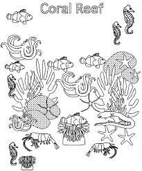 You will need a pdf reader to view these files. Coral Reef Coloring Pictures Novocom Top