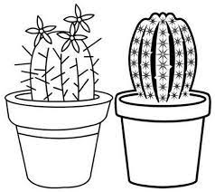 Download the terrarium coloring page here. Beautiful Cactus On The Pot Coloring Page Cactus Coloring Page Mandala Coloring Pages Cartoon Coloring Pages