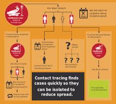 Contact Tracing Wikipedia
