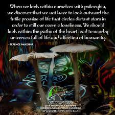 Pin On Trance Psychedelics
