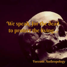 Forensic Anthropology Forensic Anthropology Forensic Science Forensics