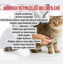 Toprak Veteriner Klinigi Posts Facebook