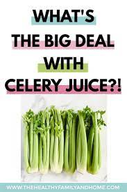 Celery Juice Recipe Protocol Medical Medium Recipe Celery Juice Juicing Recipes Medical Medium