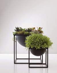 The Design Chaser Arredamento Piante Da Interni Decorazioni Vegetali Piante Da Interno