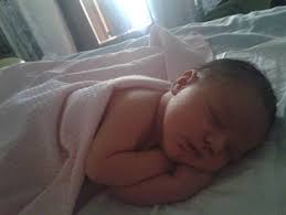 newborn baby by Katie Haller. Photo stock