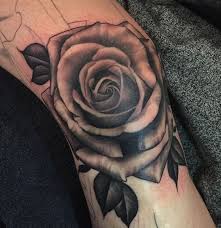The rose tattoo has been popular for decades dating back to the 1930s. Added This Rose On Rachelvanmechelen Her Knee Thanks Rachel Always Fun Tattooing Seeing You In 2021 Knee Tattoo Tattoos Rose Tattoos