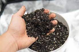 Equal parts composted bark, coconut coir, peat moss, perlite, and pumice. The Best Potting Soil For Indoor Plants Complete Guide Smart Garden Guide