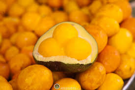 Mudas Frutíferas (Nativas e Exóticas) - Frutabella