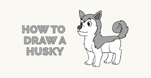 How To Draw A Husky Featured Image Dog Drawing Easy Drawings Dog Drawing Simple