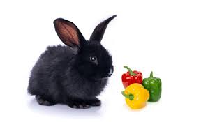 There isn't much nutritional value in almonds for rabbits and in large quantities they can be bad for their health because of the salt content. Can Rabbits Eat Bell Peppers Green Red Yellow