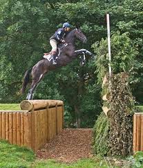 Check out allwealthinfo.com to find horse jumps in your area! Horse Riding Xc Jumps Novocom Top