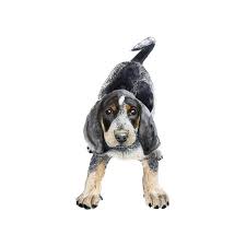 You will find many resources about coon dogs and coon hunting on the site for hound hunters. Bluetick Coonhound Puppy Nursery Decor Coonhound Art Etsy
