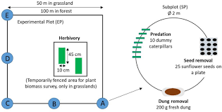 Schmidt is a mathematician born in 1933. Animal Mediated Ecosystem Process Rates In Forests And Grasslands Are Affected By Climatic Conditions And Land Use Intensity Springerlink