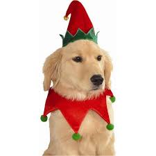 Shop affordable wall art to hang in dorms, bedrooms, offices, or anywhere blank walls aren't welcome. Elf Hat And Collar Pet Costume Dog Christmas Set Santa S Helper Puppy Cat Dog Elf Costume Pet Costumes For Dogs Christmas Dog