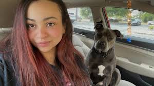 Cat wee out of carpet ideas please ? She's never had an accident before and  with this heat , it's brutal Trying all ways Windows open , fans