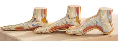 Amovible intérieure en cuir semelle amovible pouvant accueillir une orthèse semelle orthopédique semelle orthopédique (orthèse) semelle plantaire amovible semelles amovibles. Avec Quelles Chaussures Peut On Porter Des Semelles Orthopediques