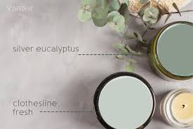 The Best Eucalyptus Green Colors For