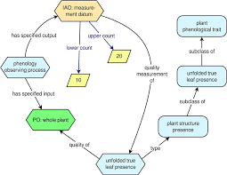 frontiers the plant phenology ontology a new informatics