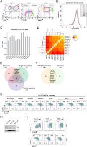 L'envers et l'endroit se mêlent. Integrative Proteomics Reveals Principles Of Dynamic Phospho Signaling Networks In Human Erythropoiesis Biorxiv