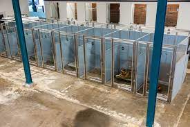 Comfortable accommodations keep your dog calm and relaxed. Dog Kennels Near Me Collar Club