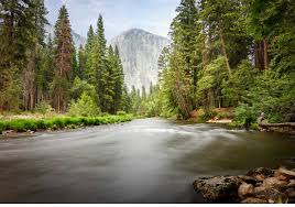 We did not find results for: Best Places To River Tube In California Mountain Resort Coupons