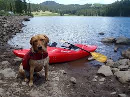 You Can Take Your Dog For A Walk Or You Can Do This Photo Comes From Dennis E On His 11th Straight Weekend In A Row Of Paddling Kayak Fishing Kayaking