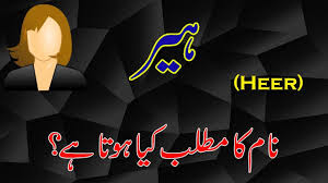 Zarar Name Meaning In Urdu Hindi Zarar Naam Ka Matlab Kya Hai ضرر نام معنی Youtube