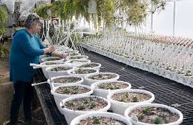 Get your garden prepped for warmer weather, and all the key jobs ticked off in just one weekend for your first weekend project of the season, take a general look at your spring garden to make it look its best now and to get it ready for the after you've finished pruning your flower beds and borders. It S Time To Start Planning For Your Spring Garden What To Know