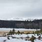 Sourdough Snowshoe Race event in Nederland, CO