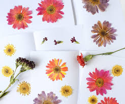 We did not find results for: How To Press And Dry Flowers And Leaves 8 Steps With Pictures Instructables