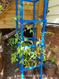 This diy trellis is streamlined and adds dimension to an otherwise boring privacy fence. How To Make Tomato Cages From Wood Empress Of Dirt