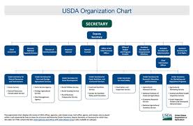 21 thorough opm cio org chart