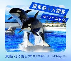 神戸須磨シーワールド満喫！JR&京阪お得な1dayパス登場！
