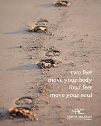 Two Feet Move Your Body Four Feet Move Your Soul Meaning Two Feet Move Your Body Four Feet Move Your Soul Inspirational Horse Quotes Horse Riding Quotes Horse Quotes