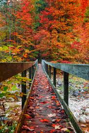 Jun 12, 2021 · desktop wallpaper field, flowers, forest, trees, landscape hd for pc & mac, laptop, tablet, mobile phone category: Best Ios 14 Fall Wallpapers For Your Home Screen Aesthetic Popsugar Tech